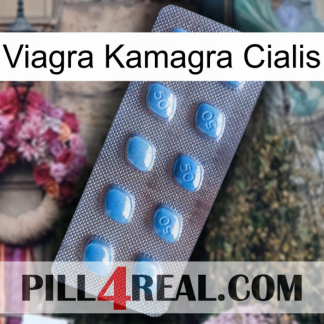 Viagra Kamagra Cialis viagra3